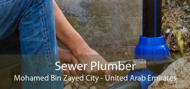 Sewer Plumber Mohamed Bin Zayed City - United Arab Emirates