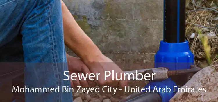 Sewer Plumber Mohammed Bin Zayed City - United Arab Emirates