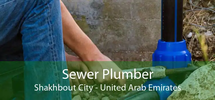 Sewer Plumber Shakhbout City - United Arab Emirates