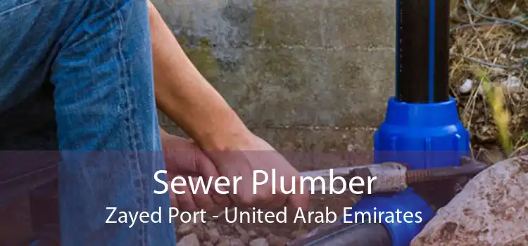 Sewer Plumber Zayed Port - United Arab Emirates