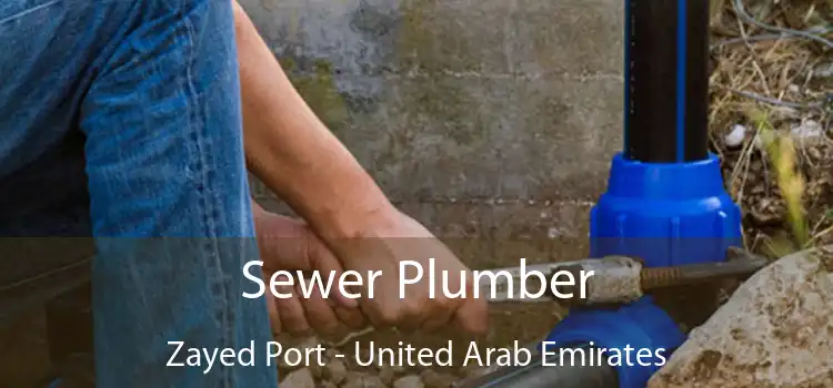 Sewer Plumber Zayed Port - United Arab Emirates