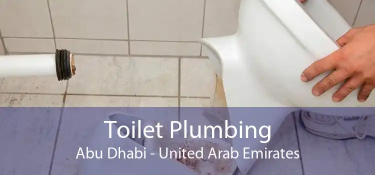 Toilet Plumbing Abu Dhabi - United Arab Emirates