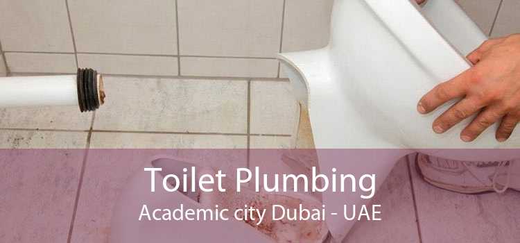 Toilet Plumbing Academic city Dubai - UAE