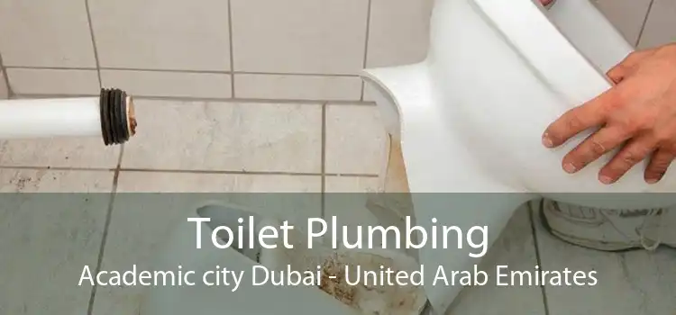 Toilet Plumbing Academic city Dubai - United Arab Emirates