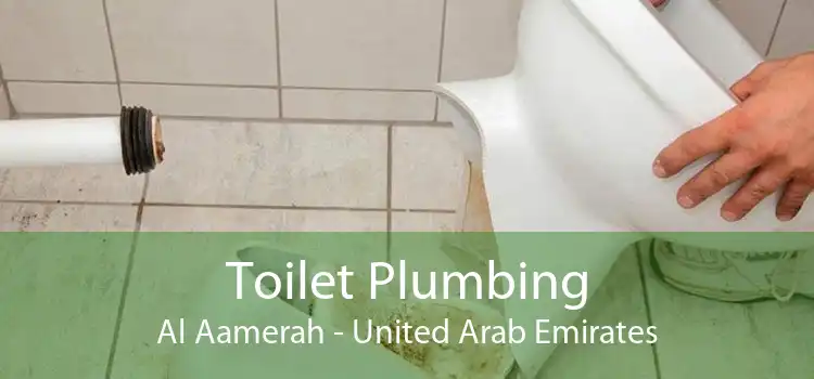 Toilet Plumbing Al Aamerah - United Arab Emirates