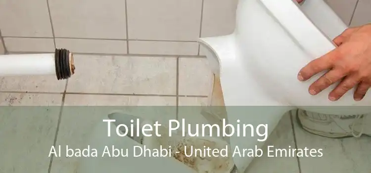 Toilet Plumbing Al bada Abu Dhabi - United Arab Emirates