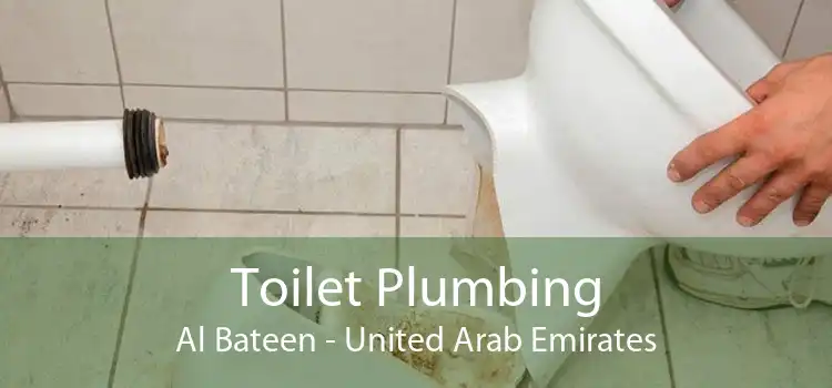 Toilet Plumbing Al Bateen - United Arab Emirates