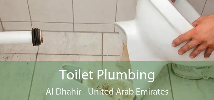 Toilet Plumbing Al Dhahir - United Arab Emirates