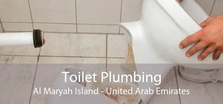 Toilet Plumbing Al Maryah Island - United Arab Emirates