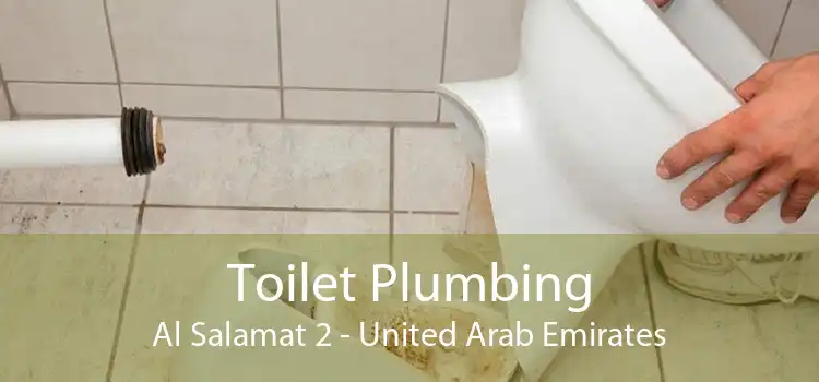 Toilet Plumbing Al Salamat 2 - United Arab Emirates