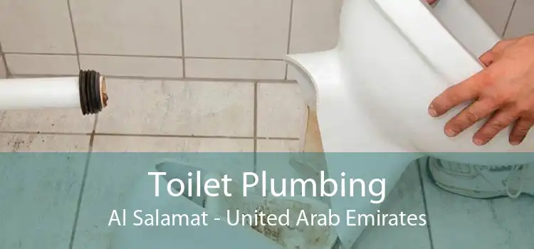 Toilet Plumbing Al Salamat - United Arab Emirates