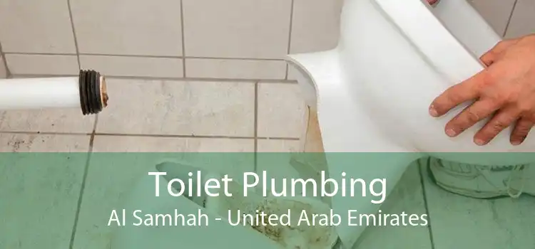 Toilet Plumbing Al Samhah - United Arab Emirates