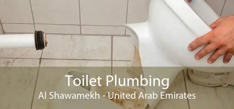 Toilet Plumbing Al Shawamekh - United Arab Emirates