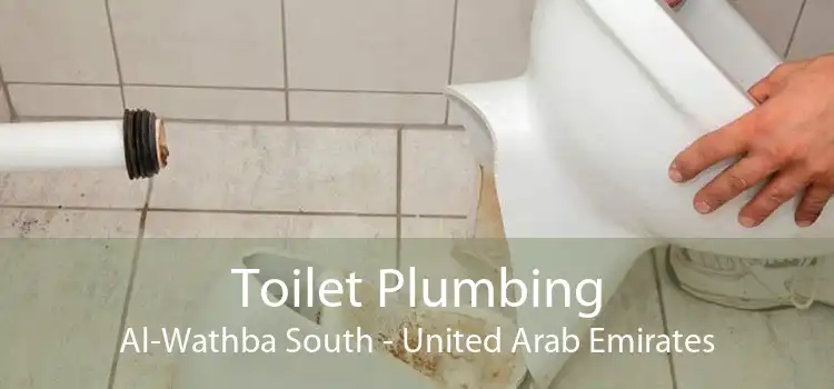 Toilet Plumbing Al-Wathba South - United Arab Emirates