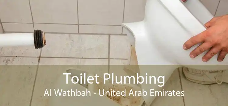 Toilet Plumbing Al Wathbah - United Arab Emirates