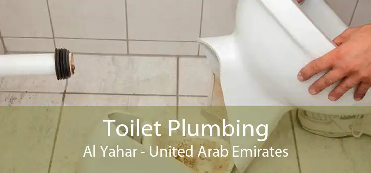 Toilet Plumbing Al Yahar - United Arab Emirates
