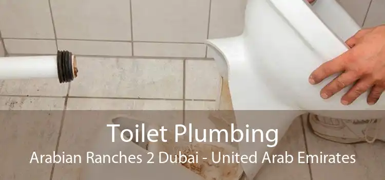 Toilet Plumbing Arabian Ranches 2 Dubai - United Arab Emirates