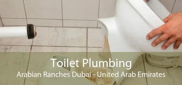 Toilet Plumbing Arabian Ranches Dubai - United Arab Emirates