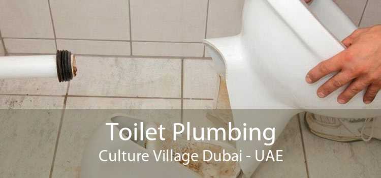 Toilet Plumbing Culture Village Dubai - UAE