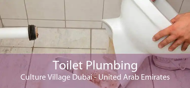 Toilet Plumbing Culture Village Dubai - United Arab Emirates