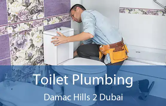  Toilet Plumbing Damac Hills 2 Dubai