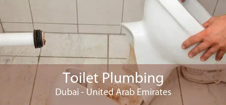 Toilet Plumbing Dubai - United Arab Emirates