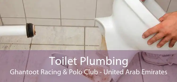 Toilet Plumbing Ghantoot Racing & Polo Club - United Arab Emirates