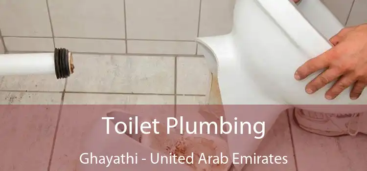 Toilet Plumbing Ghayathi - United Arab Emirates