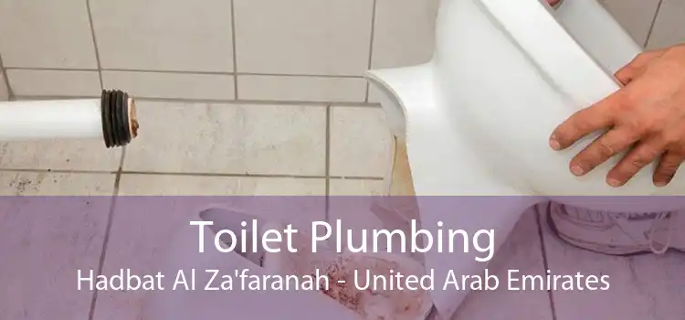 Toilet Plumbing Hadbat Al Za'faranah - United Arab Emirates
