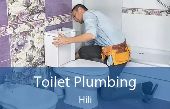  Toilet Plumbing Hili