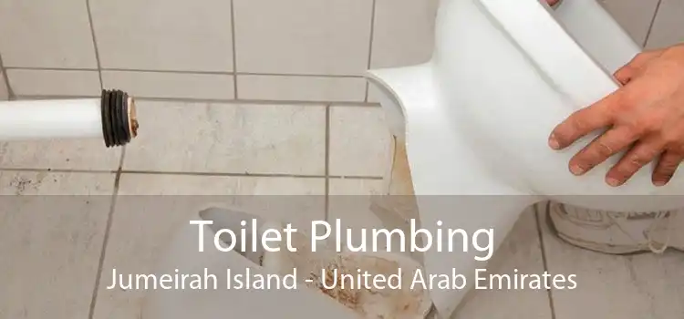 Toilet Plumbing Jumeirah Island - United Arab Emirates