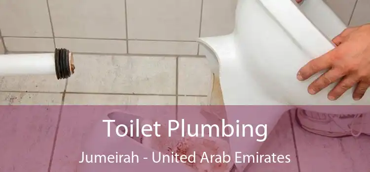 Toilet Plumbing Jumeirah - United Arab Emirates