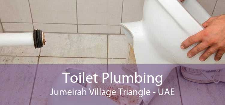Toilet Plumbing Jumeirah Village Triangle - UAE