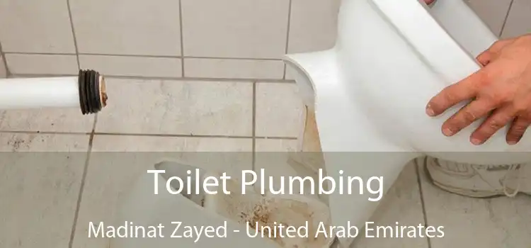 Toilet Plumbing Madinat Zayed - United Arab Emirates