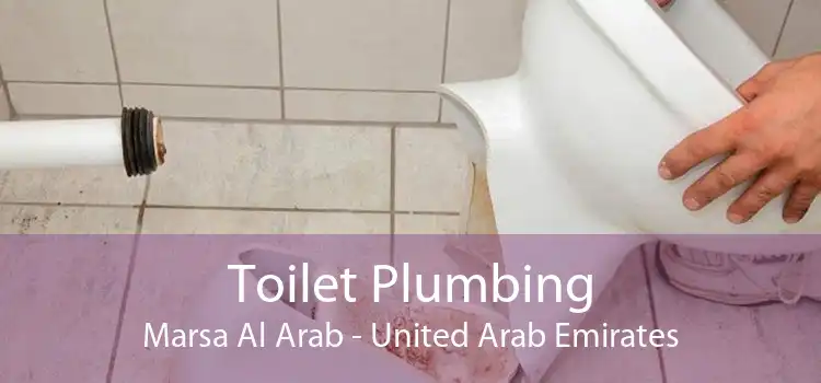 Toilet Plumbing Marsa Al Arab - United Arab Emirates