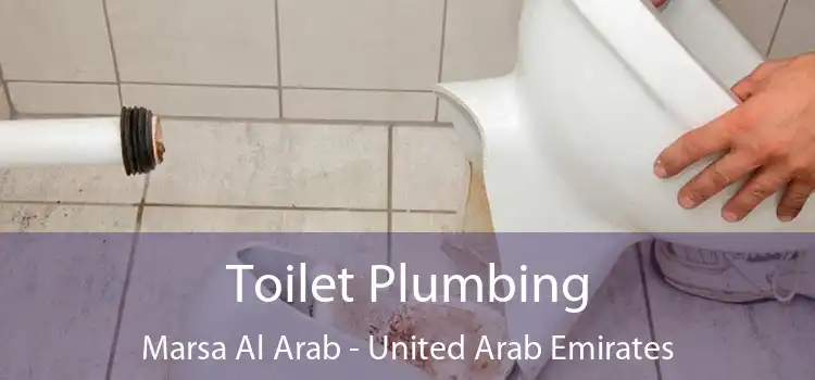 Toilet Plumbing Marsa Al Arab - United Arab Emirates