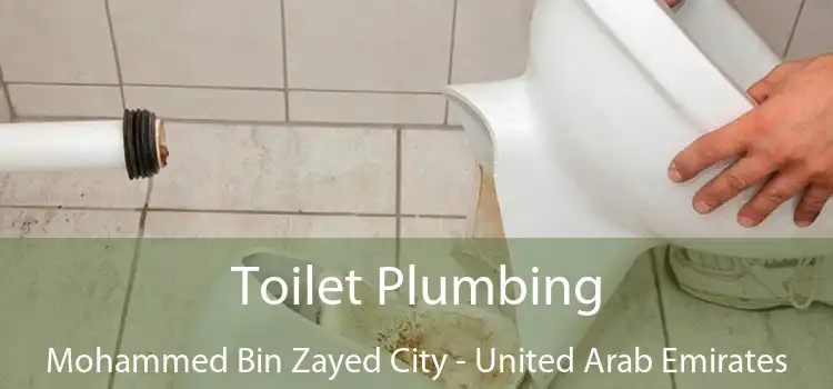 Toilet Plumbing Mohammed Bin Zayed City - United Arab Emirates