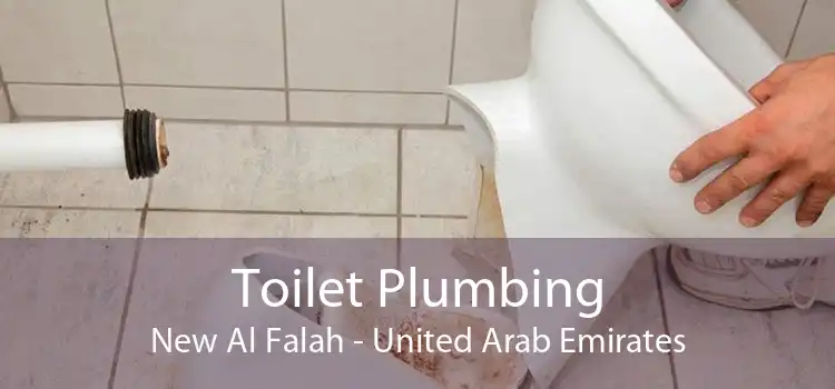 Toilet Plumbing New Al Falah - United Arab Emirates