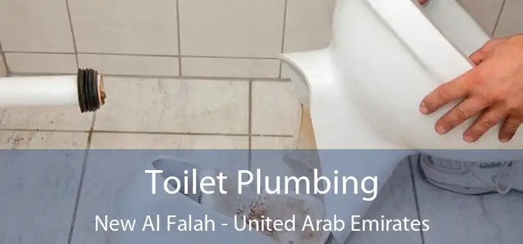 Toilet Plumbing New Al Falah - United Arab Emirates