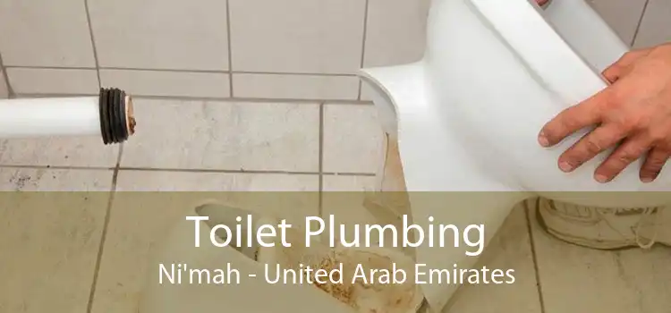 Toilet Plumbing Ni'mah - United Arab Emirates