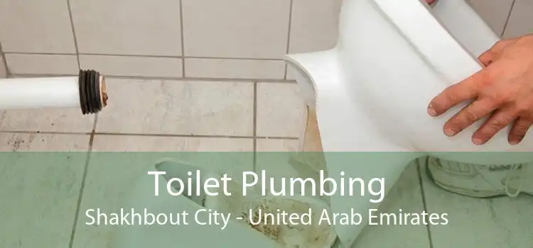 Toilet Plumbing Shakhbout City - United Arab Emirates