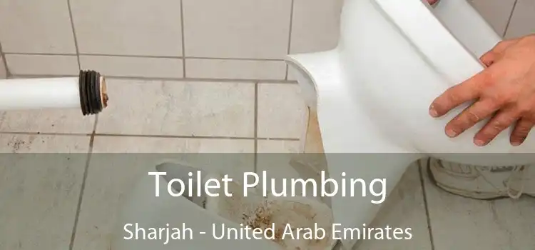 Toilet Plumbing Sharjah - United Arab Emirates