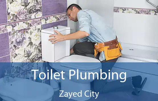  Toilet Plumbing Zayed City