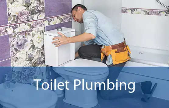  Toilet Plumbing 