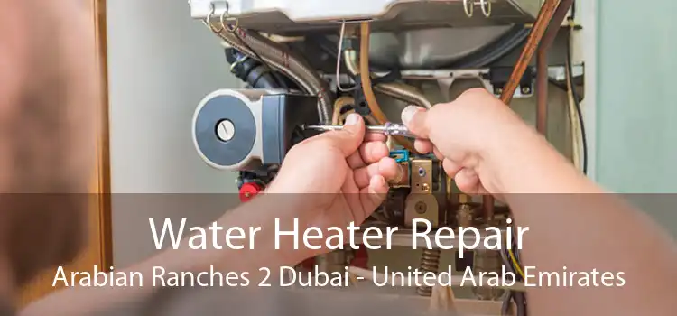 Water Heater Repair Arabian Ranches 2 Dubai - United Arab Emirates