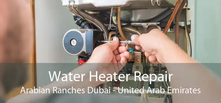 Water Heater Repair Arabian Ranches Dubai - United Arab Emirates