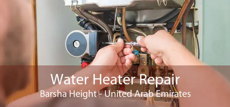Water Heater Repair Barsha Height - United Arab Emirates