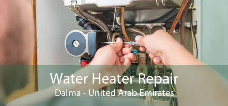 Water Heater Repair Dalma - United Arab Emirates