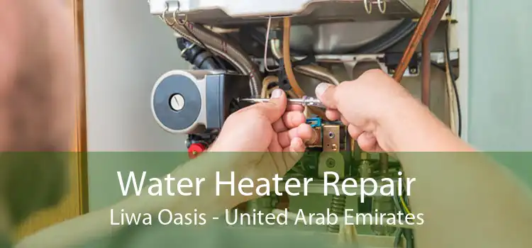 Water Heater Repair Liwa Oasis - United Arab Emirates