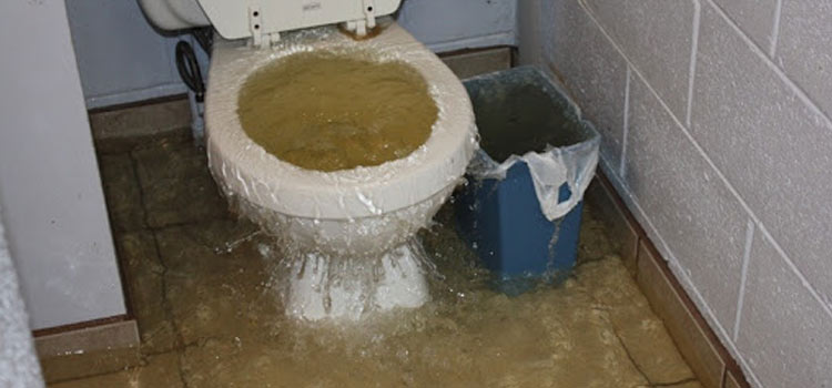 Blocked Toilet Fix Al Mushrif